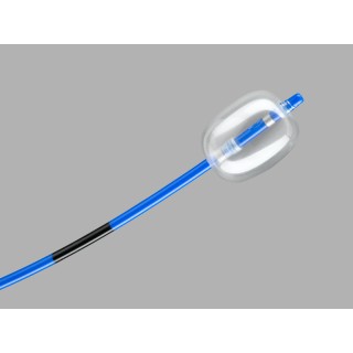 Cook Medical # G21664