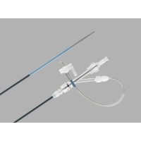 Cook Medical # G29981