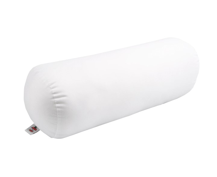 Core Products # ROL-300