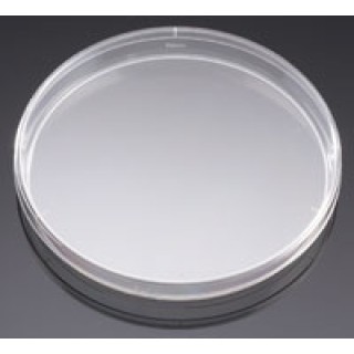 Corning Life Sciences # 351058