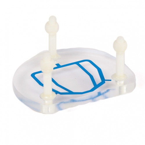 Dental Ventures Of Americ # MO/ALFIBGRN