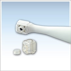 Dentamerica # 336