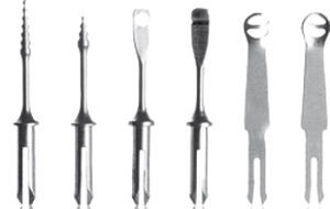 Dentatus USA # TOR-6