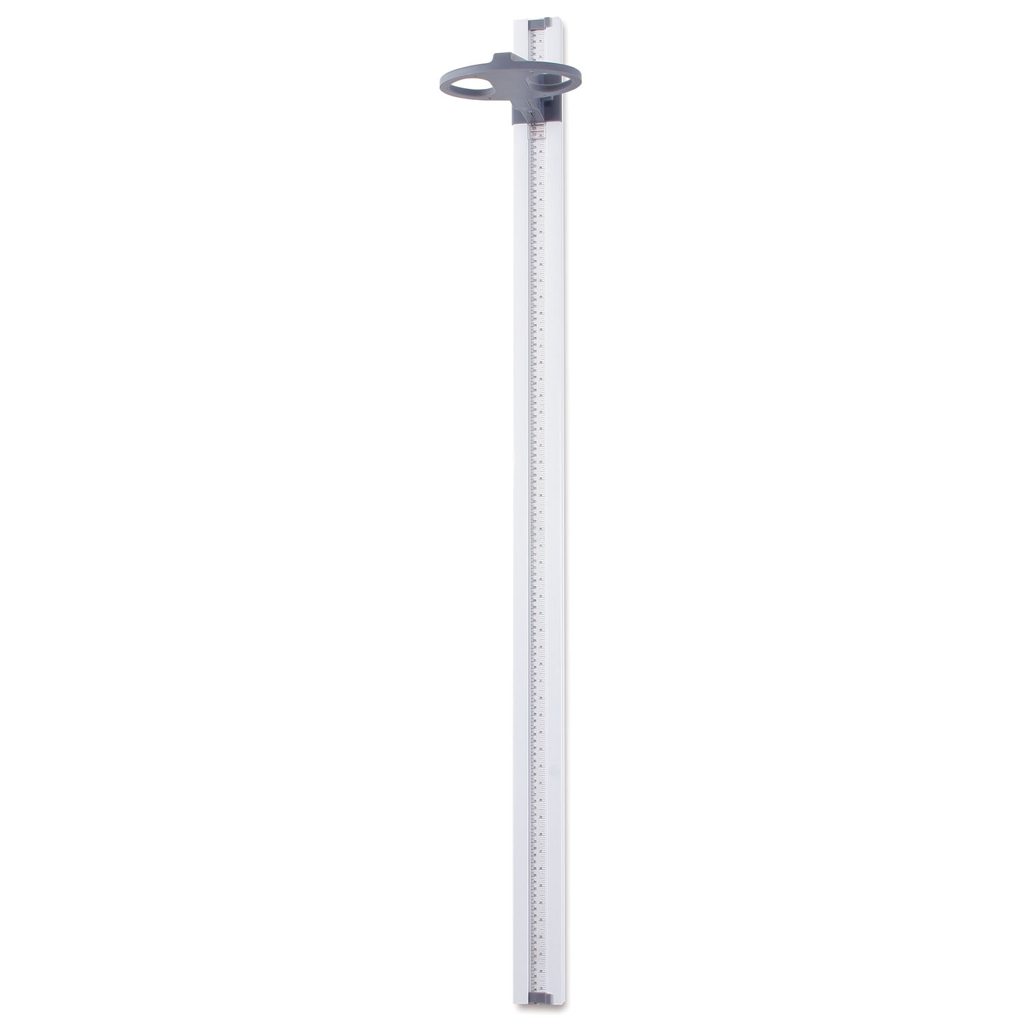 Doran Scales # DS1100