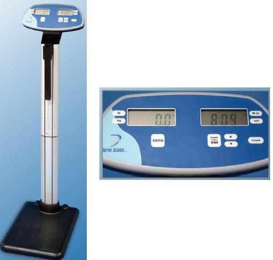 Doran Scales # MSC0268