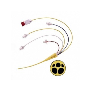 Edwards Lifesciences # 096F6P