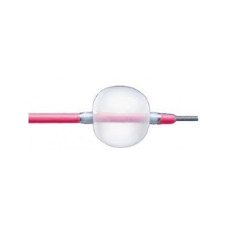 Edwards Lifesciences # 12A1004F