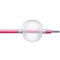 Edwards Lifesciences # 12TLW804F