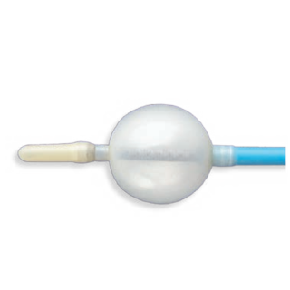 Edwards Lifesciences # 320808F