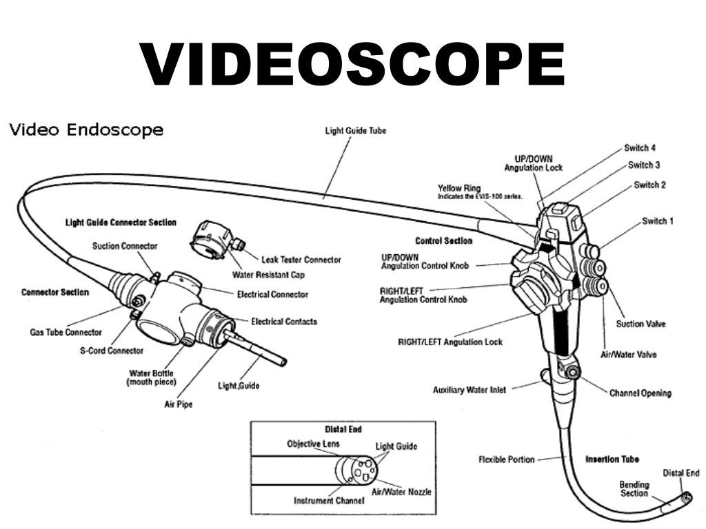 Endobath Endoscopy # END-01