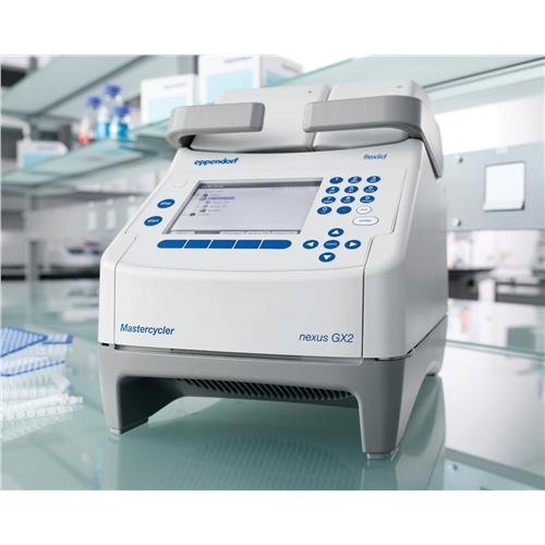 Eppendorf # 6339000024