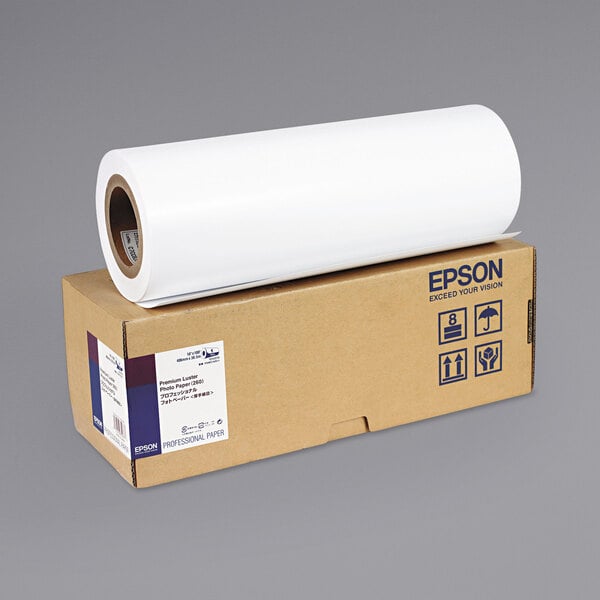 Epson America # S042079