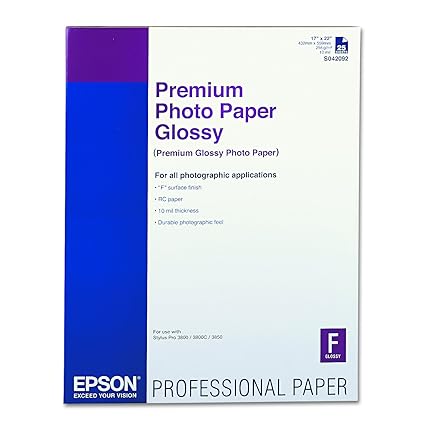 Epson America # S042092