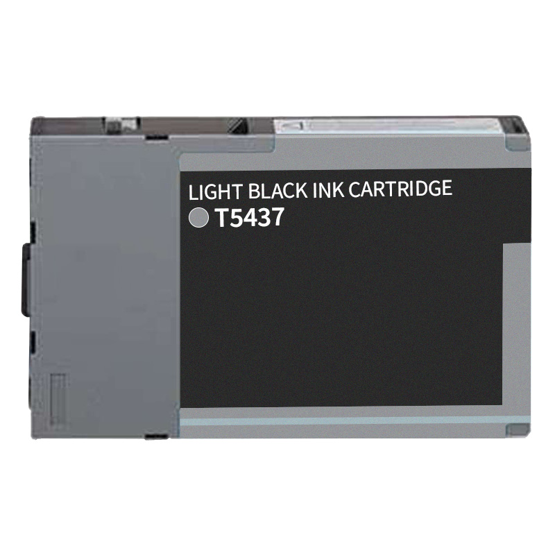 Epson America # T543700