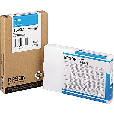 Epson America # T605200