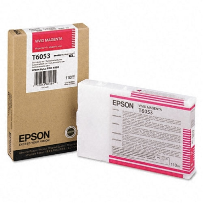 Epson America # T605300