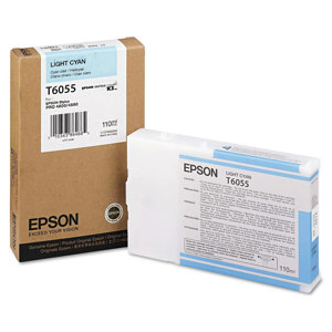 Epson America # T605500
