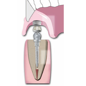Essential Dental Systems # 520-01