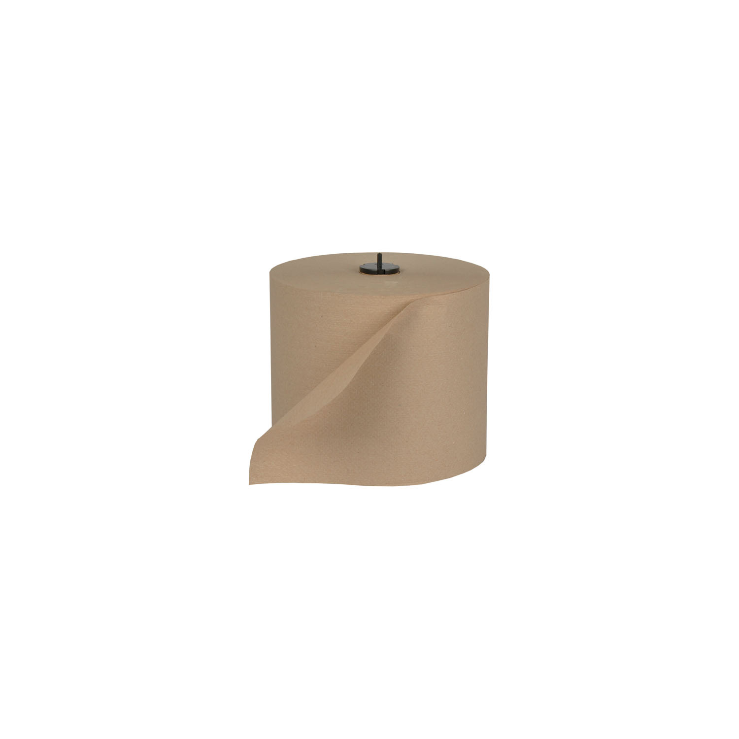 Essity Professional Hygiene North America # 291350