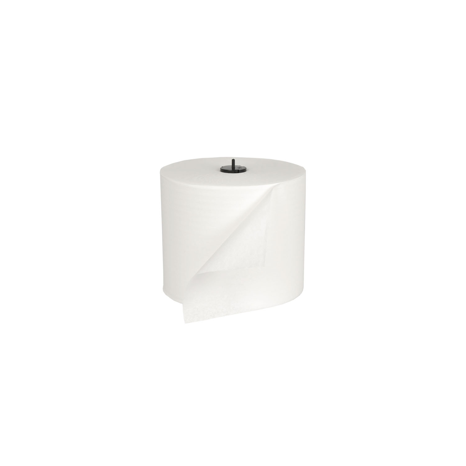 Essity Professional Hygiene North America # 291380
