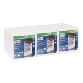 Essity Professional Hygiene North America # 5301505