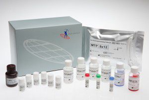 Gold Standard Diagnostics # FCCP600