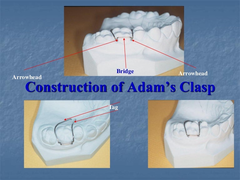 Great Lakes Orthodontics # 090-022