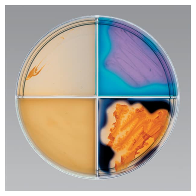 Healthlink # HLNK1442