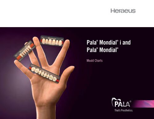 Heraeus Kulzer # 66970854