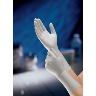 High Five Performance # N273