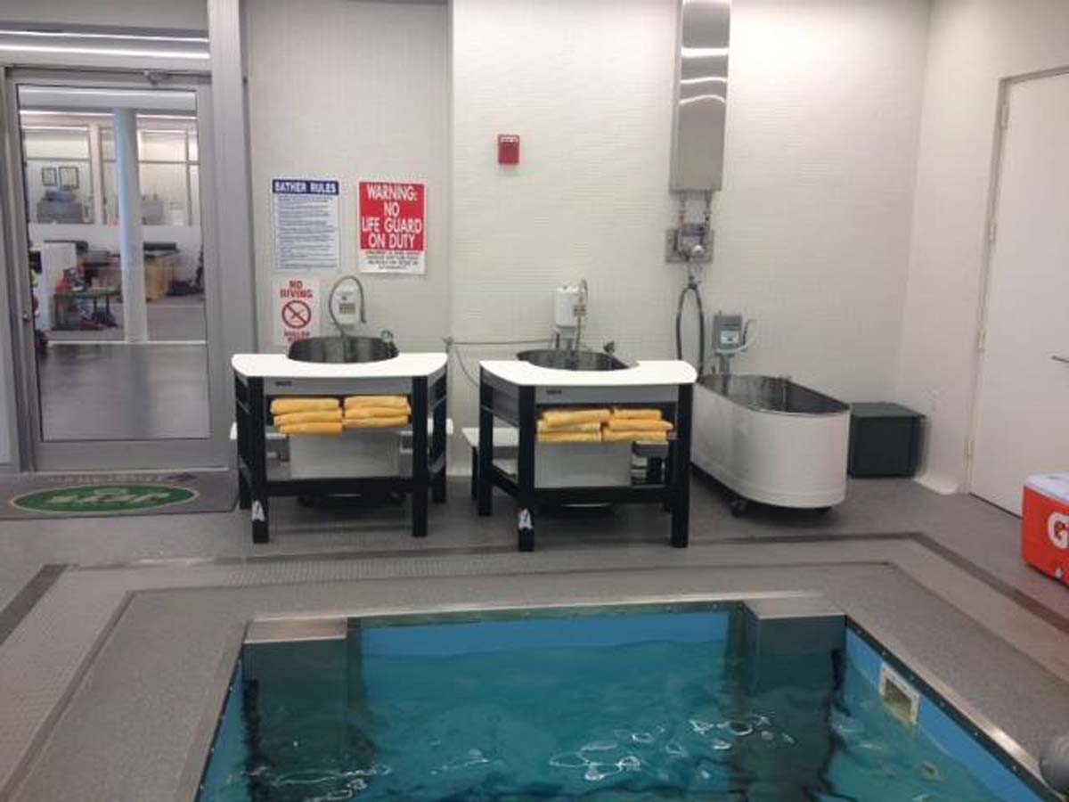 Impact Athletic # DT1000-004