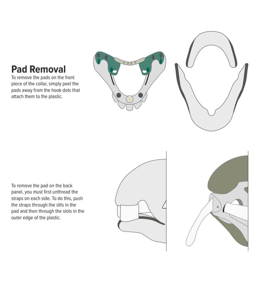 International Healthcare # 984020