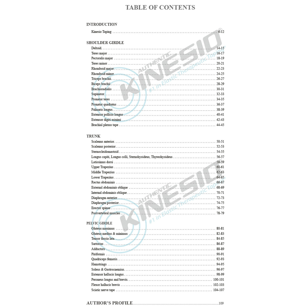 Kinesio Holding Corporation # BK1-E
