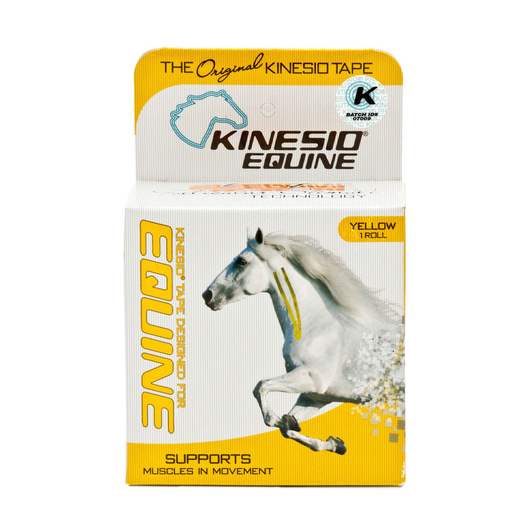 Kinesio Holding Corporation # EKT28024