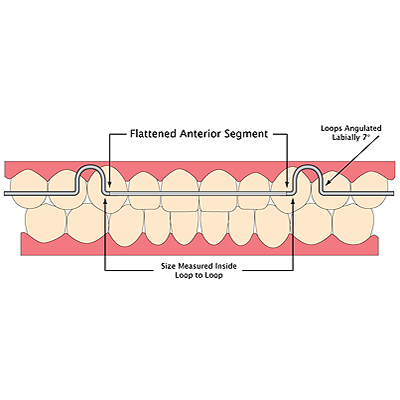 Lancer Orthodontic # 550-005