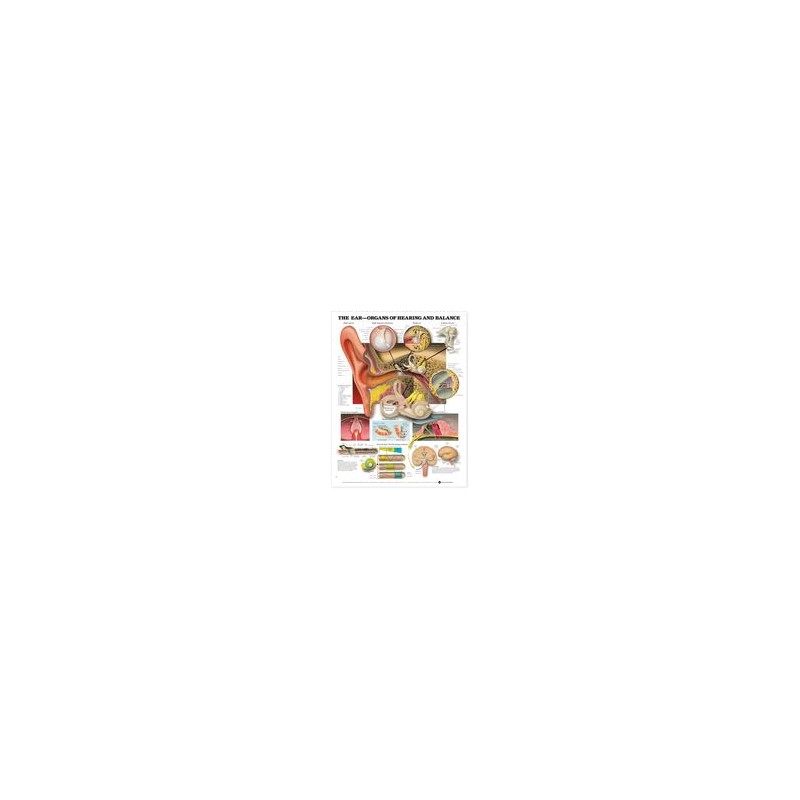 Lippincott Williams # 158779120X