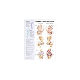 Lippincott Williams # 1587793873