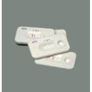 Lynn Medical # P080063