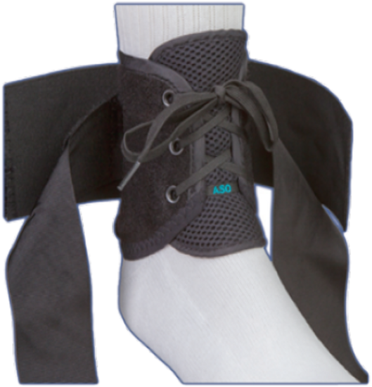 Medical Specialties # 264172