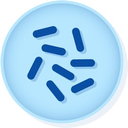 Microbiologics # 0323P