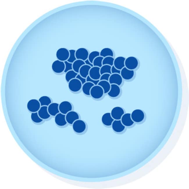 Microbiologics # 0371P