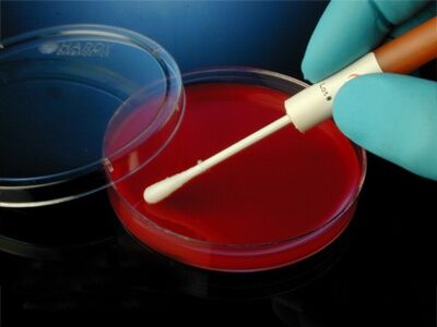 Microbiologics # 0459K