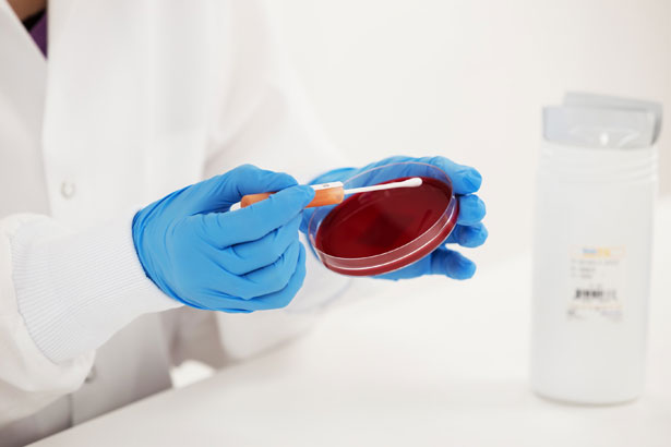 Microbiologics # 0901K