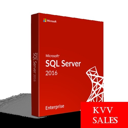 Microsoft # 810-07416