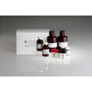 Ortho Diagnostic Systems # 719410