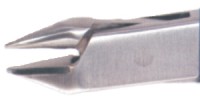 Orthopli Corp # 034-XC