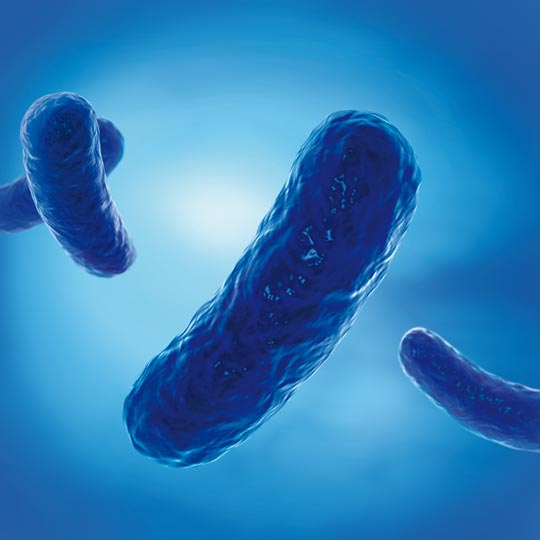 PML Microbiologicals # 121410