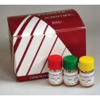 Pointe Scientific # P7582-CTL