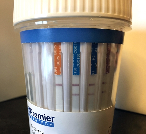 Premier Biotech # PCA-13EFTS