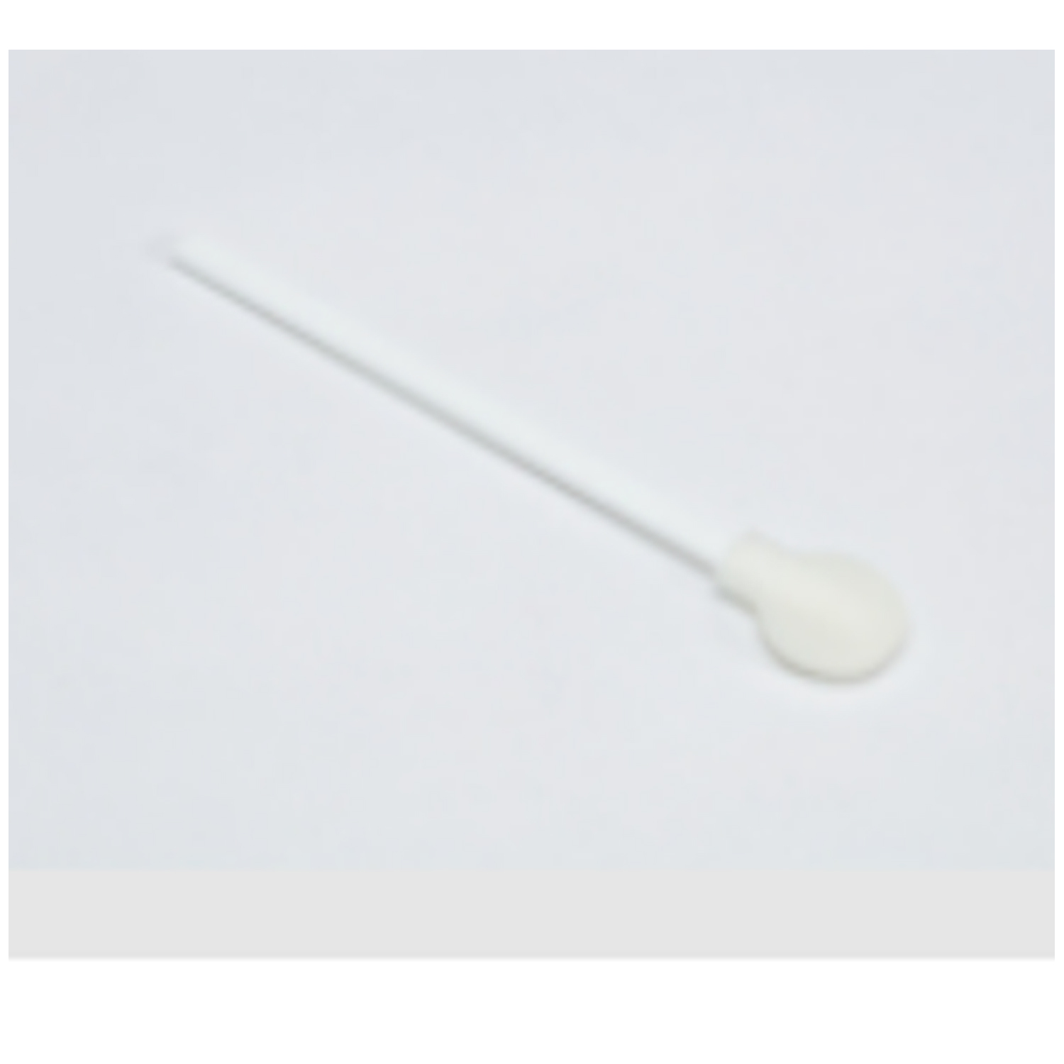 Qiagen # WB100032